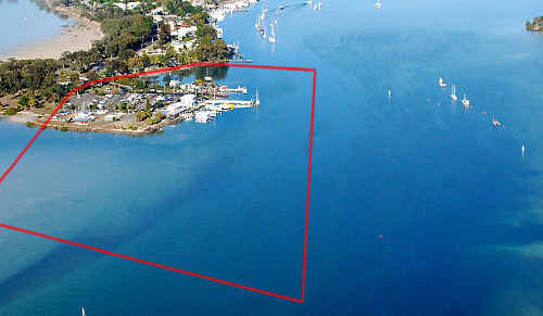 The proposed area for the Norman Point marina and the Indo Pacific humpback which Sandy Straits Marine Environmental Group president Carole Gillies, says is in danger of being destroyed by “powerful developers” if plans to build the marina go ahead. The proposed area for the Norman Point marina and the Indo Pacific humpback which Sandy Straits Marine Environmental Group president Carole Gillies, says is in danger of being destroyed by “powerful developers” if plans to build the marina go ahead.